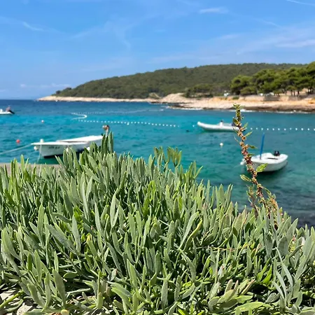Milna, Hvar Buratovic * هفار